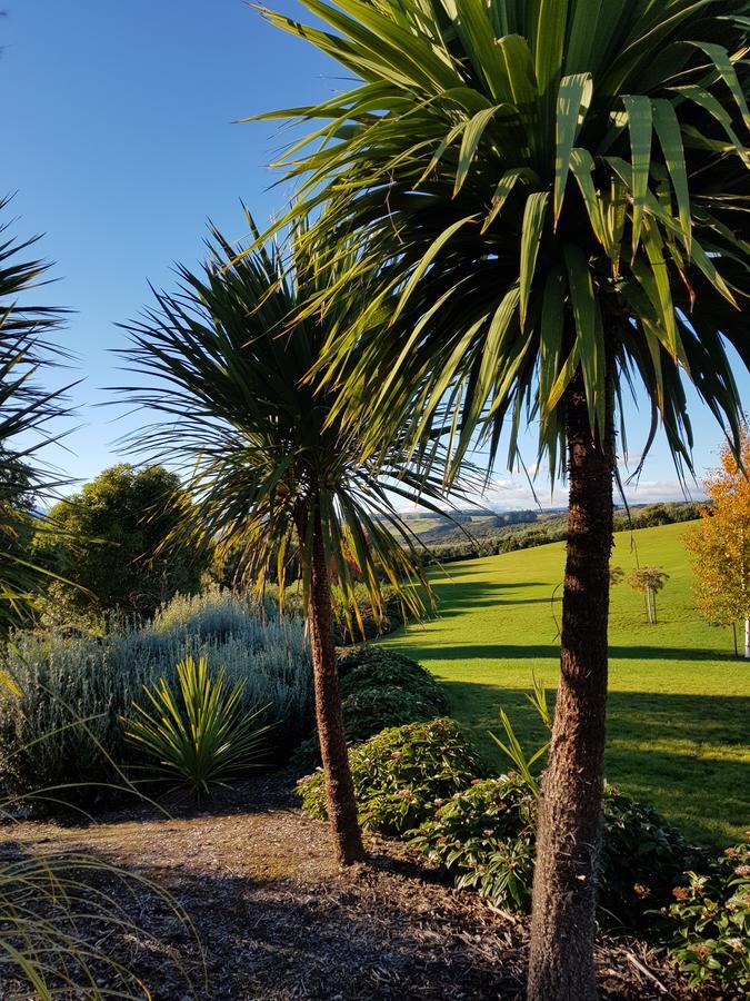 Murchison View Studio Te Anau Exteriér fotografie